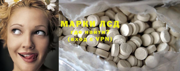стаф Надым