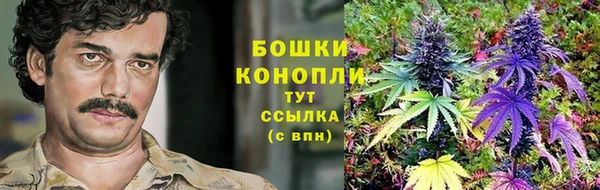 спиды Нефтегорск