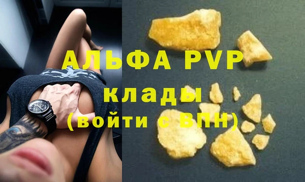 стаф Надым