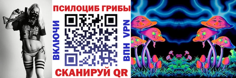 Галлюциногенные грибы Psilocybe  где найти   мориарти наркотические препараты  Мышкин 